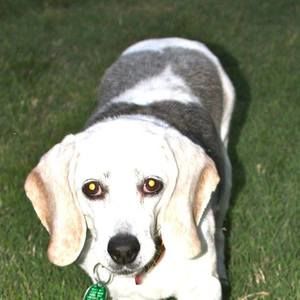 Meet your Posher, Sue